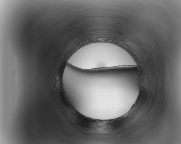 X0000096220086200801181038