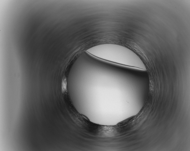 X0000096220095200801181038