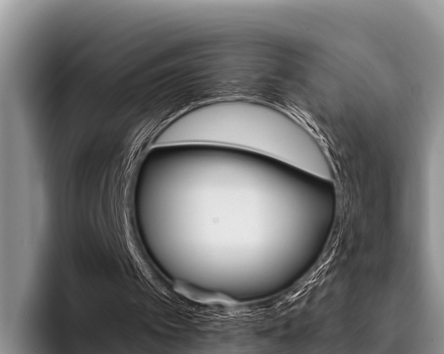 X0000096220097200801181037