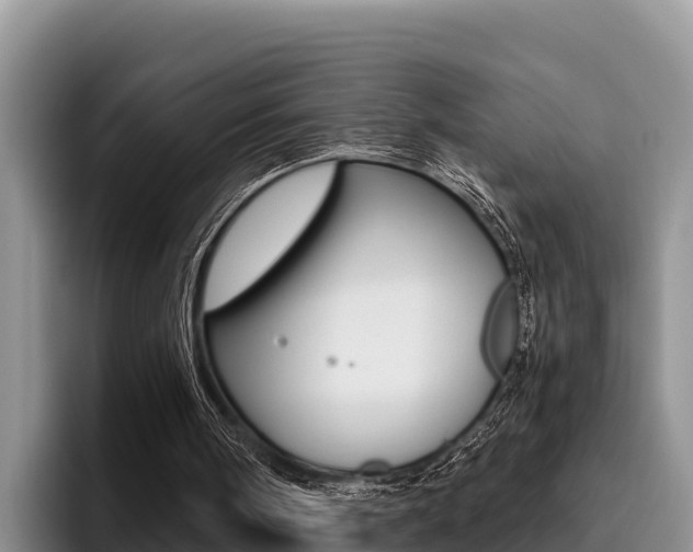 X0000096220098200801181037