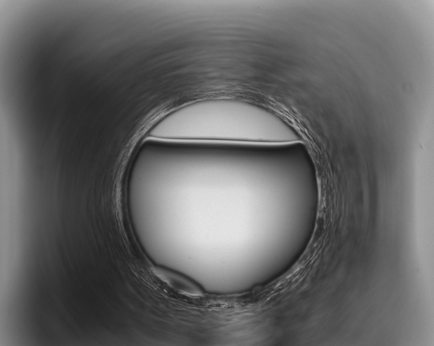 X0000096220099200801181037