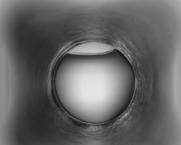 X0000096220101200801181037