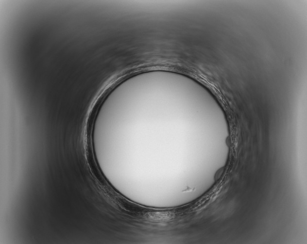 X0000096220102200801181037