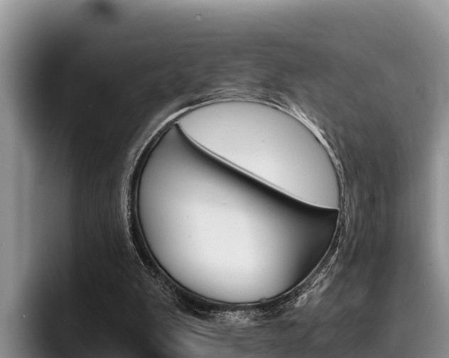 X0000096220103200801181037