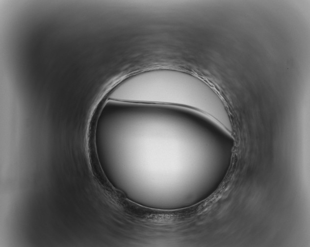 X0000096220104200801181037
