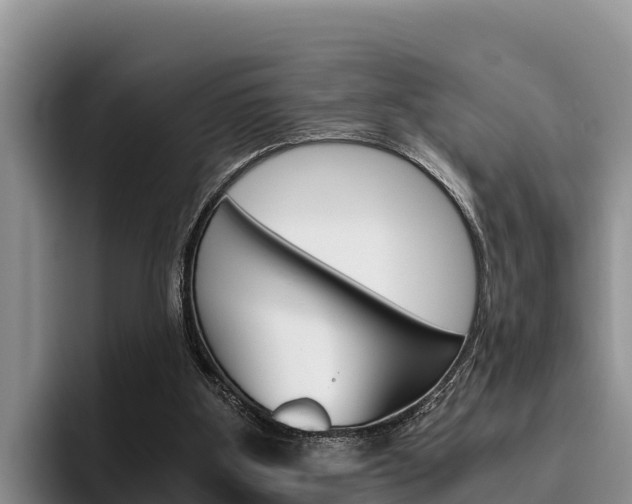 X0000096220107200801181037