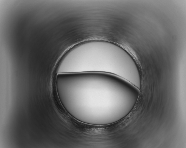 X0000096220108200801181037