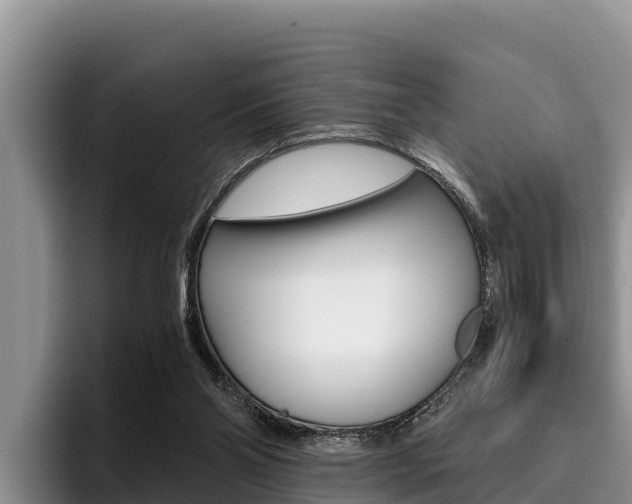X0000096220110200801181037