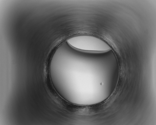 X0000096220116200801181037