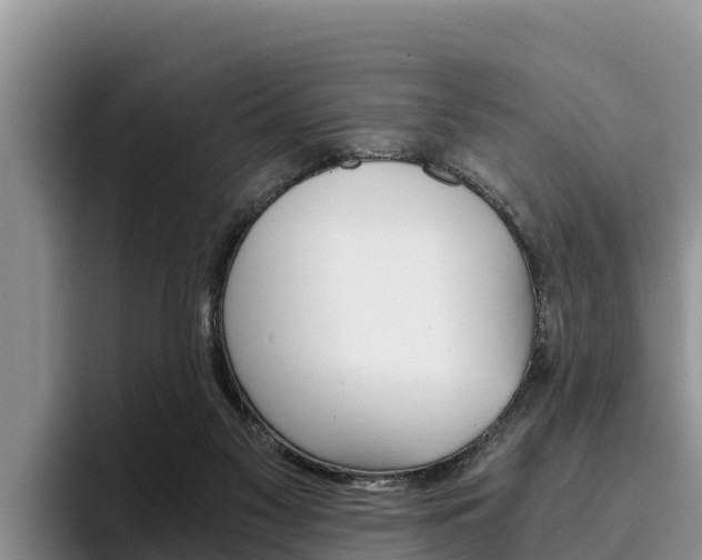 X0000096220117200801181037