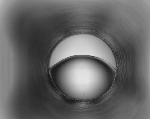X0000096220120200801181037