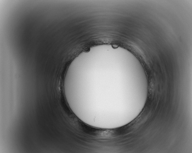 X0000096220122200801181037