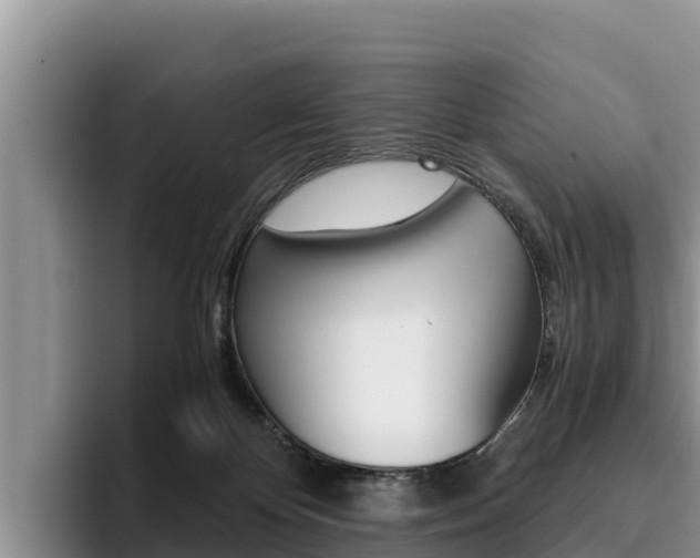 X0000096220124200801181037