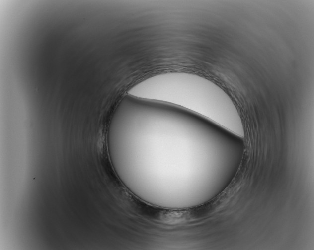 X0000096220129200801181037
