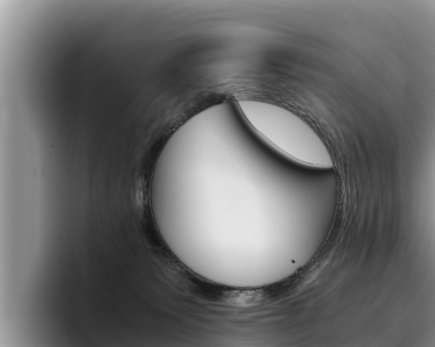 X0000096220135200801181037