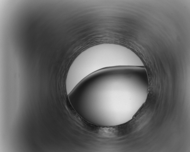 X0000096220137200801181037