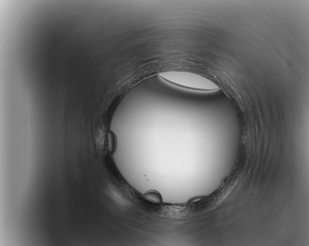X0000096220139200801181037