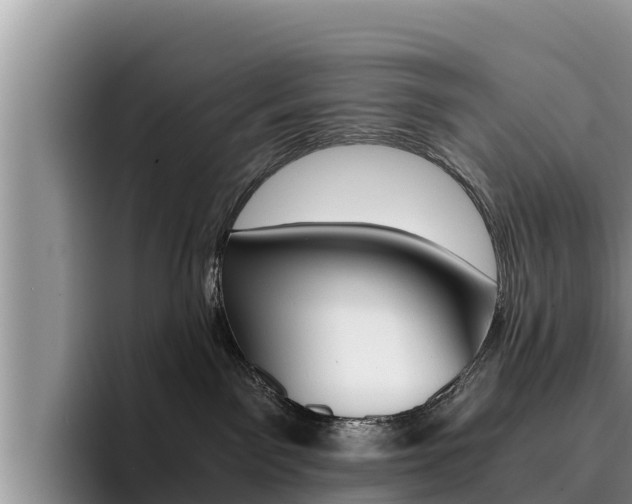 X0000096220141200801181037