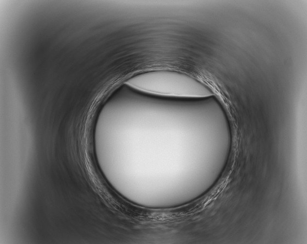 X0000096220145200801181036