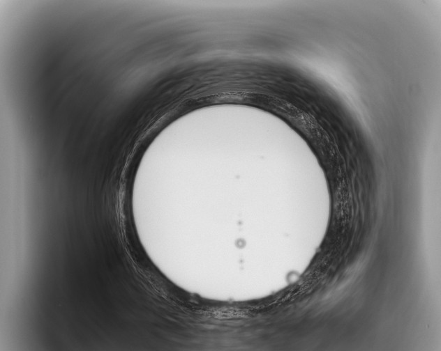 X0000096220146200801181036
