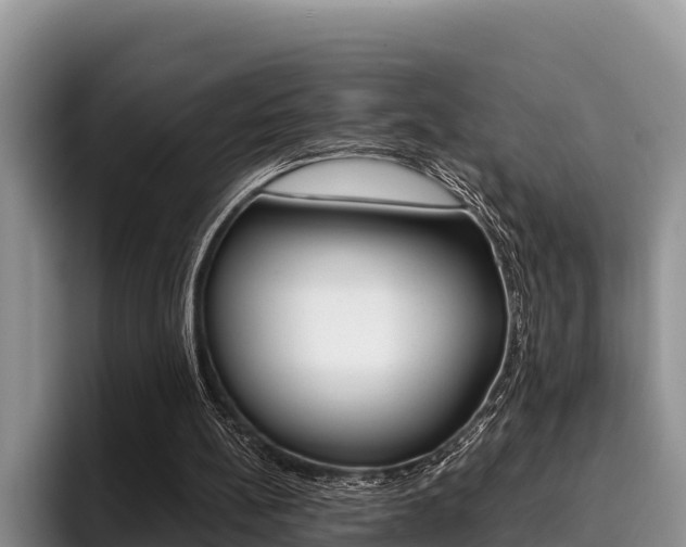 X0000096220148200801181036