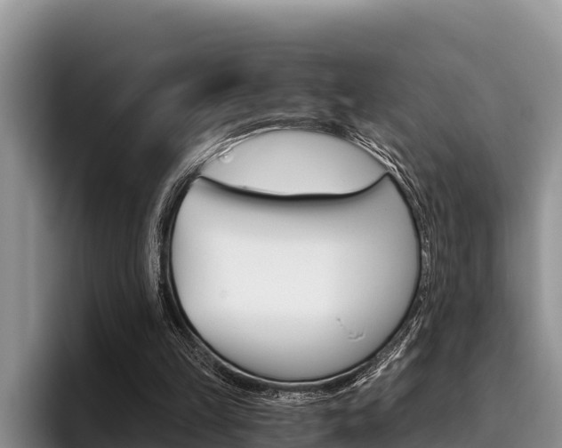 X0000096220149200801181036