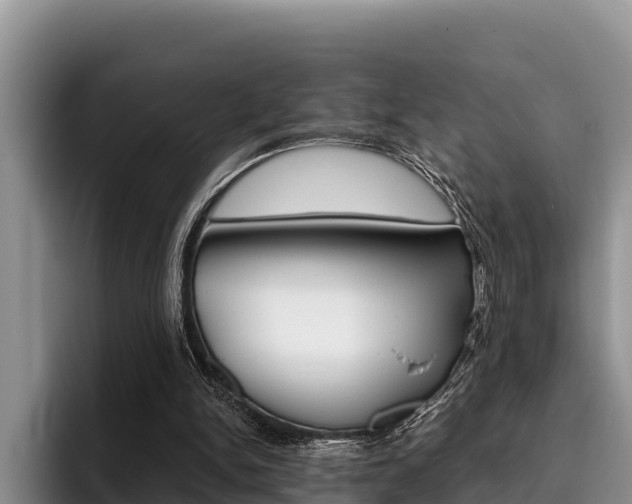 X0000096220150200801181036