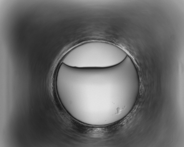X0000096220151200801181036
