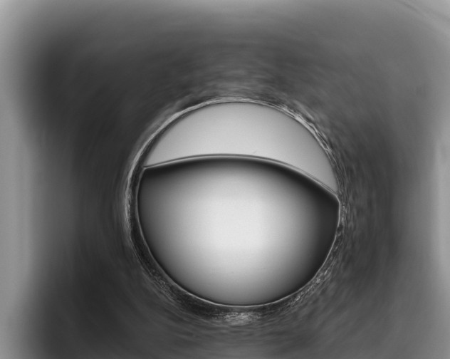 X0000096220152200801181036