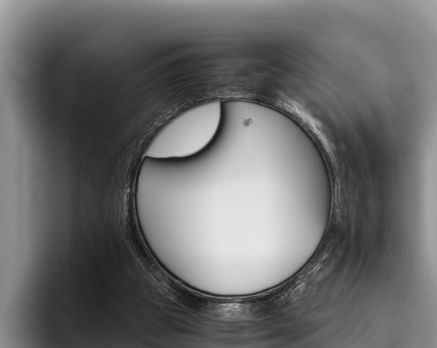 X0000096220153200801181036