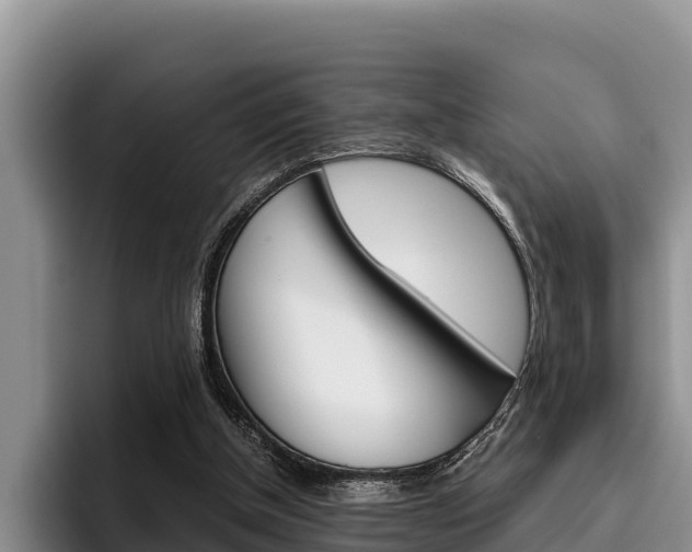 X0000096220154200801181036