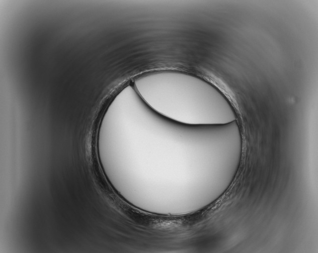 X0000096220155200801181036