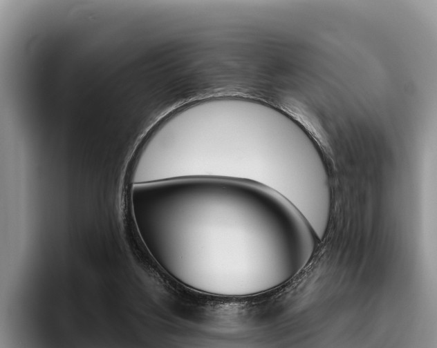 X0000096220156200801181036