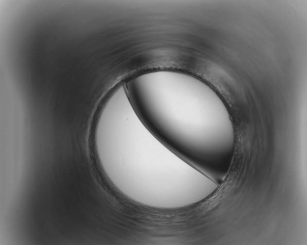 X0000096220160200801181036