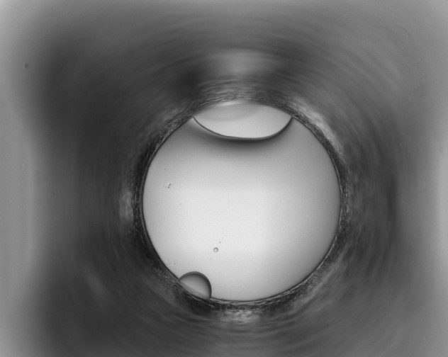 X0000096220161200801181036