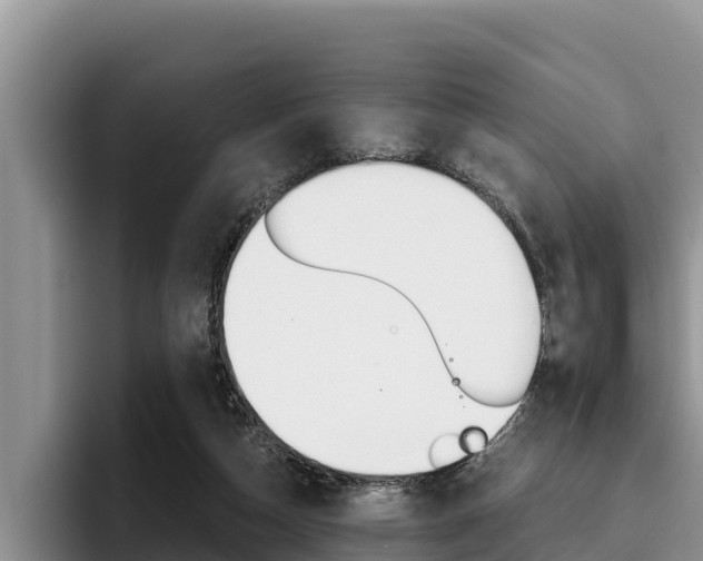 X0000096220162200801181036