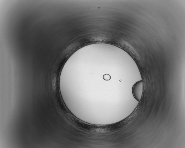 X0000096220163200801181036