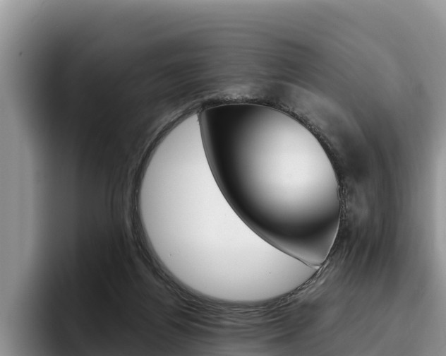 X0000096220164200801181036