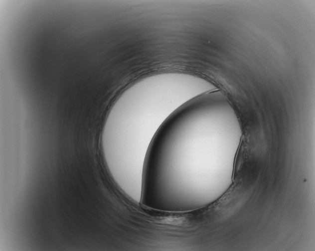 X0000096220168200801181036