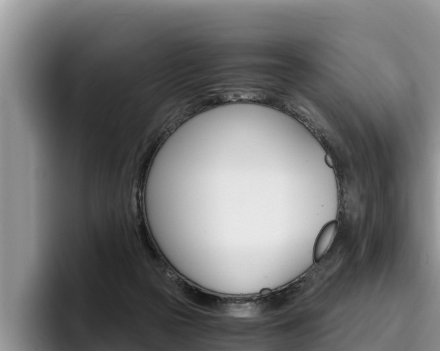 X0000096220169200801181036