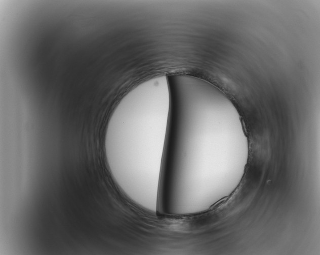 X0000096220170200801181036