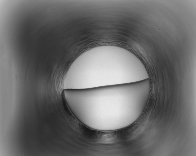 X0000096220173200801181036