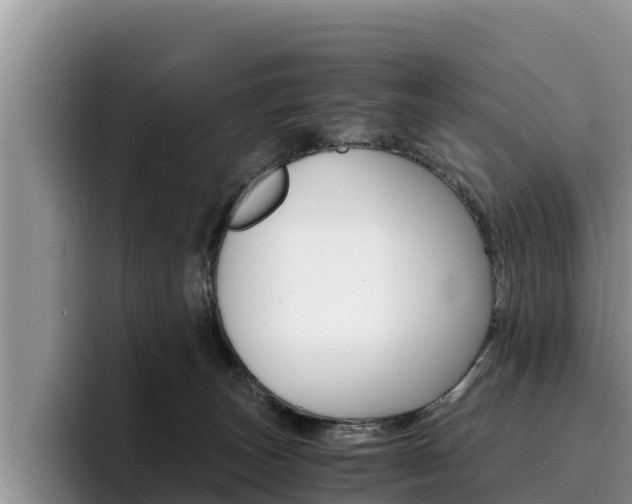X0000096220179200801181037