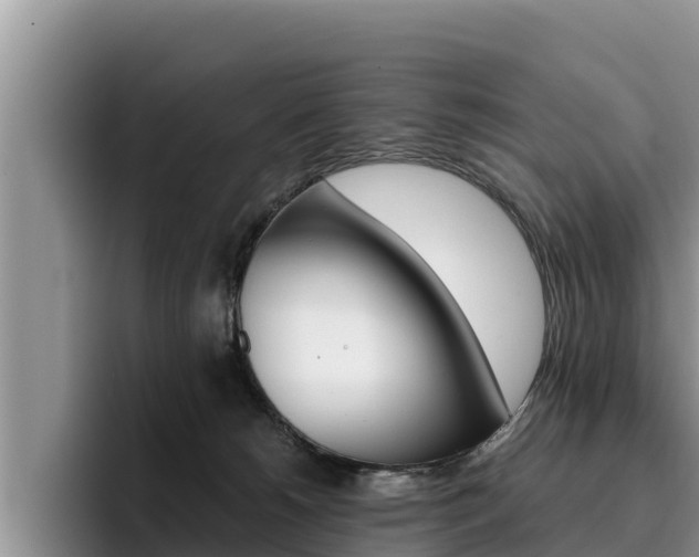 X0000096220180200801181037