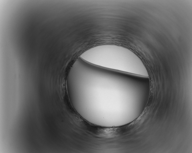 X0000096220184200801181037