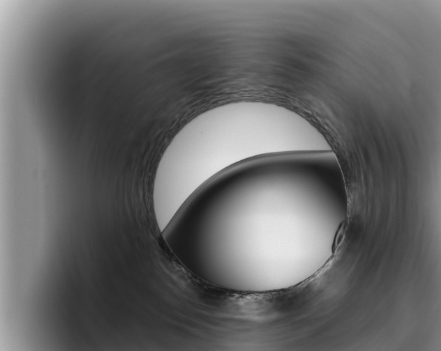 X0000096220186200801181037