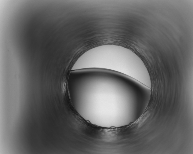 X0000096220188200801181037