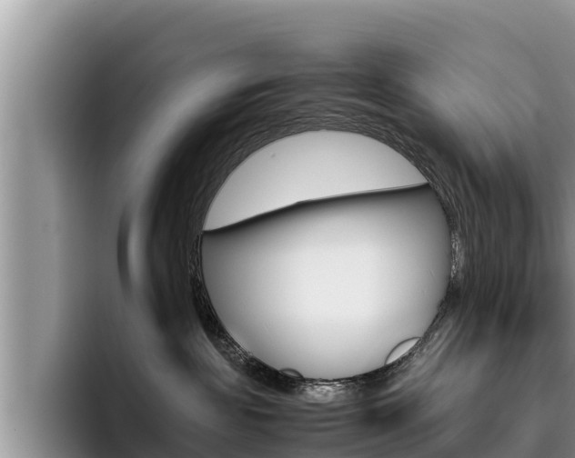X0000096220189200801181037