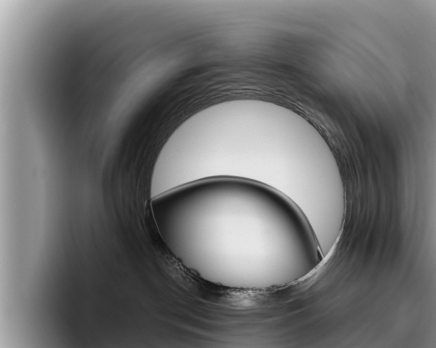 X0000096220190200801181037