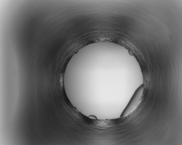 X0000096220191200801181037